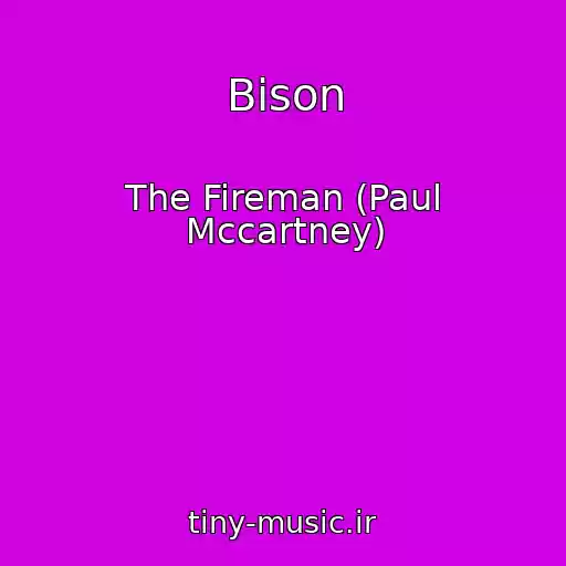 کاور آهنگ Bison از The Fireman (Paul Mccartney)