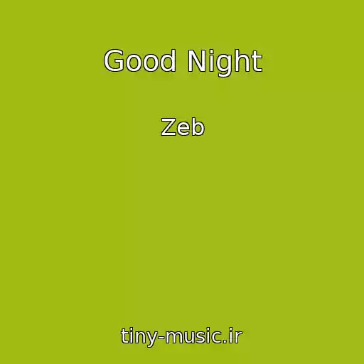 کاور آهنگ Good Night از Zeb