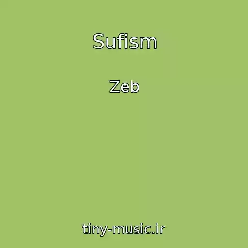 کاور آهنگ Sufism از Zeb
