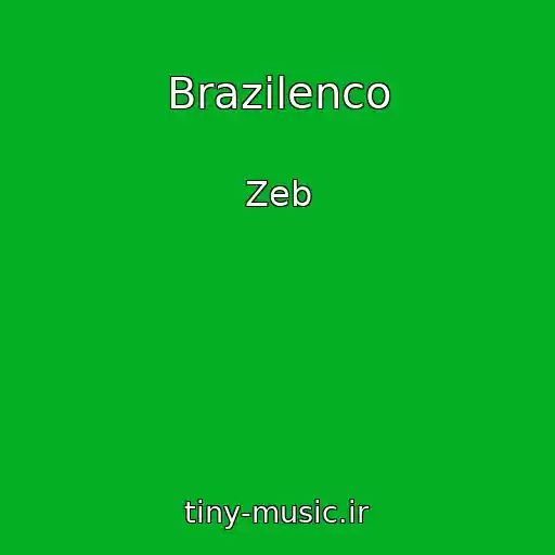 کاور آهنگ Brazilenco از Zeb