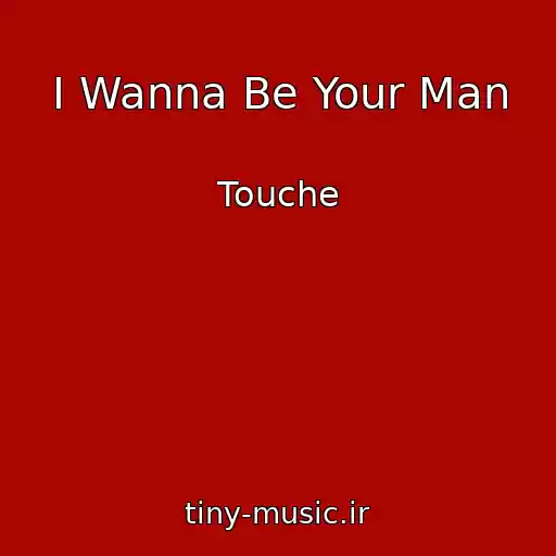 کاور آهنگ I Wanna Be Your Man از Touche