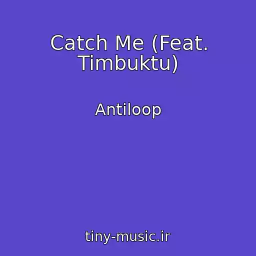 کاور آهنگ Catch Me (Feat. Timbuktu) از Antiloop