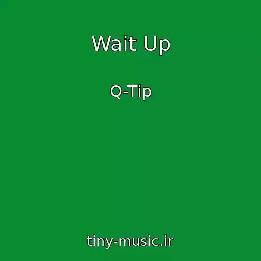 کاور آهنگ Wait Up از Q-Tip