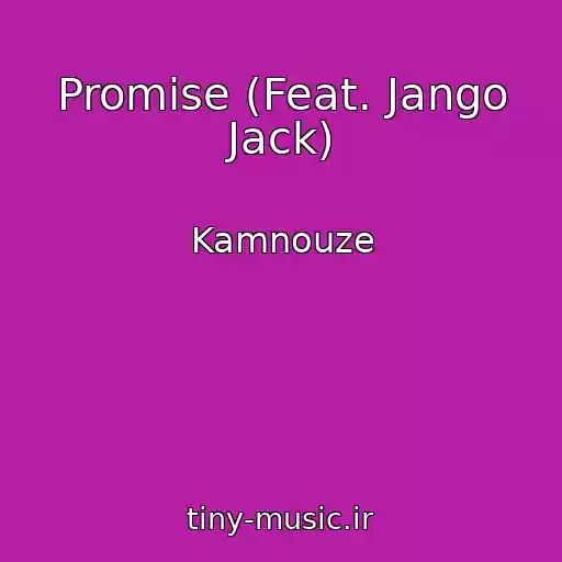 کاور آهنگ Promise (Feat. Jango Jack) از Kamnouze