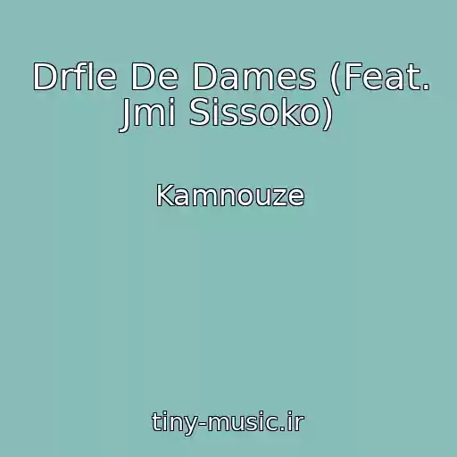 کاور آهنگ Drfle De Dames (Feat. Jmi Sissoko) از Kamnouze