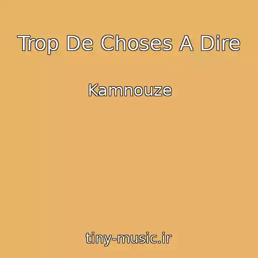 کاور آهنگ Trop De Choses A Dire از Kamnouze