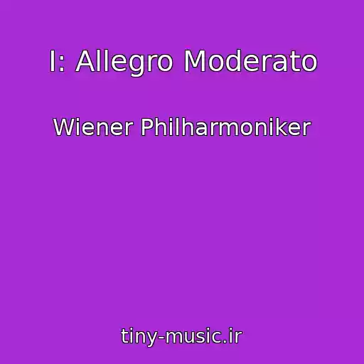 کاور آهنگ I: Allegro Moderato از Wiener Philharmoniker