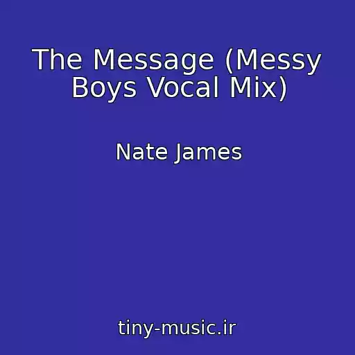 کاور آهنگ The Message (Messy Boys Vocal Mix) از Nate James