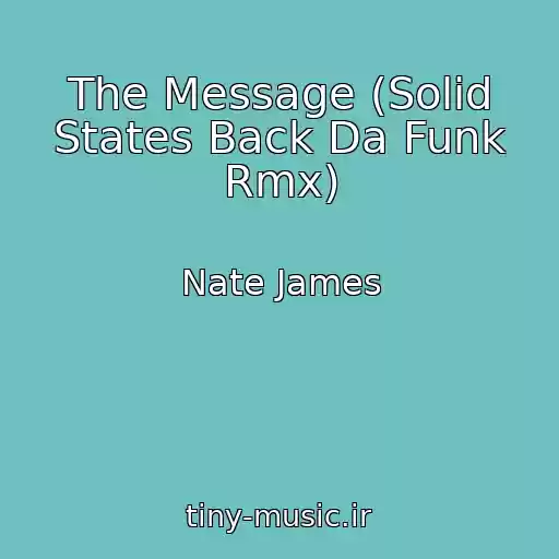 کاور آهنگ The Message (Solid States Back Da Funk Rmx) از Nate James