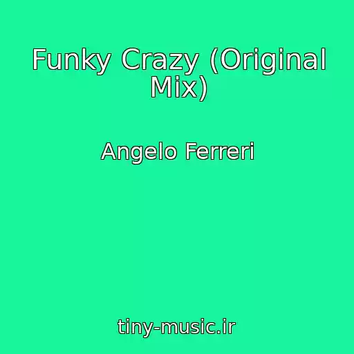 کاور آهنگ Funky Crazy (Original Mix) از Angelo Ferreri