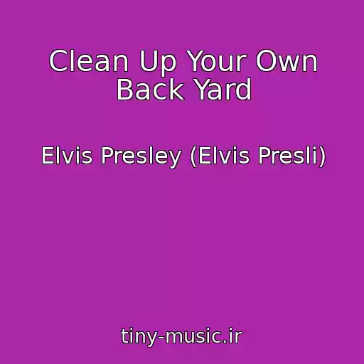 کاور آهنگ Clean Up Your Own Back Yard از Elvis Presley (Elvis Presli)