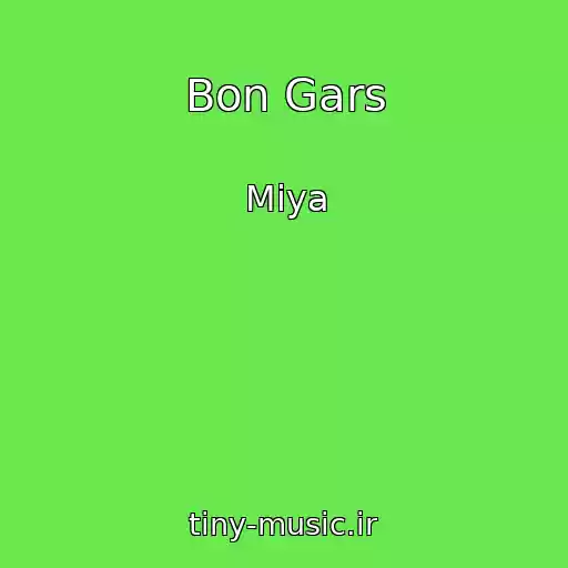 کاور آهنگ Bon Gars از Miya