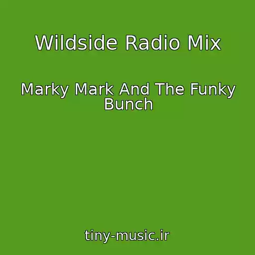 کاور آهنگ Wildside Radio Mix از Marky Mark And The Funky Bunch