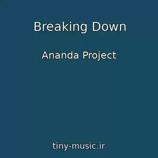 کاور آهنگ Breaking Down از Ananda Project