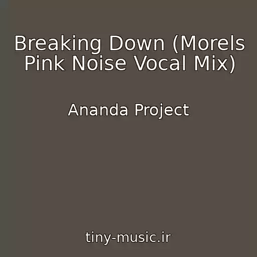 کاور آهنگ Breaking Down (Morels Pink Noise Vocal Mix) از Ananda Project