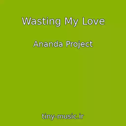 کاور آهنگ Wasting My Love از Ananda Project