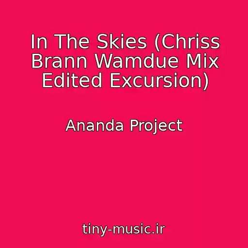 کاور آهنگ In The Skies (Chriss Brann Wamdue Mix Edited Excursion) از Ananda Project