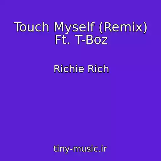 کاور آهنگ Touch Myself (Remix) Ft. T-Boz از Richie Rich