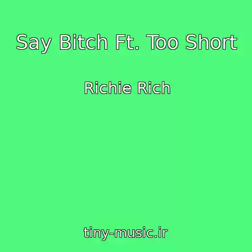 کاور آهنگ Say Bitch Ft. Too Short از Richie Rich