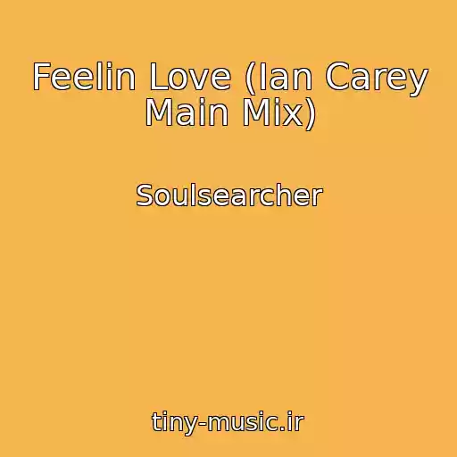 کاور آهنگ Feelin Love (Ian Carey Main Mix) از Soulsearcher