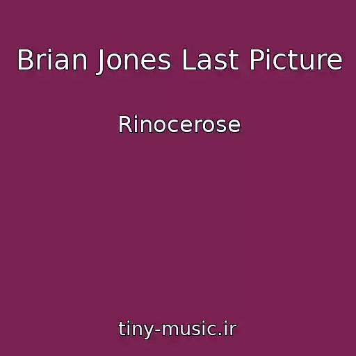 کاور آهنگ Brian Jones Last Picture از Rinocerose
