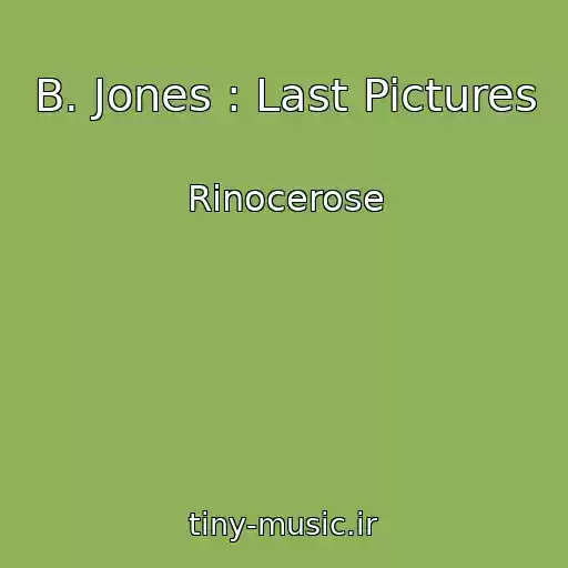 کاور آهنگ B. Jones : Last Pictures از Rinocerose