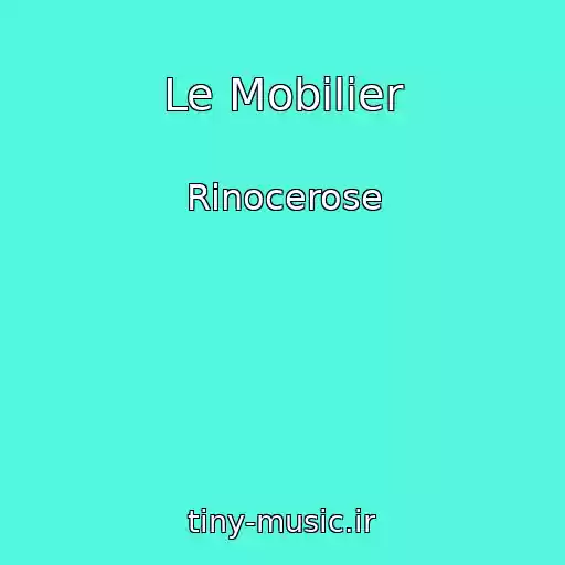 کاور آهنگ Le Mobilier از Rinocerose