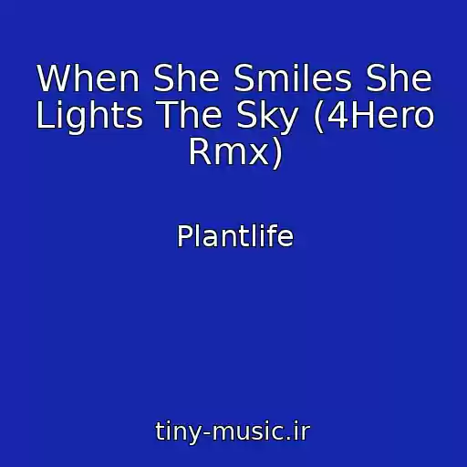 کاور آهنگ When She Smiles She Lights The Sky (4Hero Rmx) از Plantlife