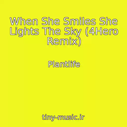 کاور آهنگ When She Smiles She Lights The Sky (4Hero Remix) از Plantlife