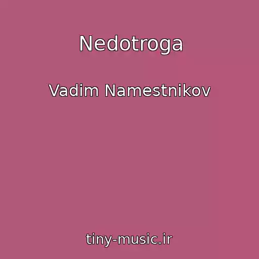 کاور آهنگ Nedotroga از Vadim Namestnikov