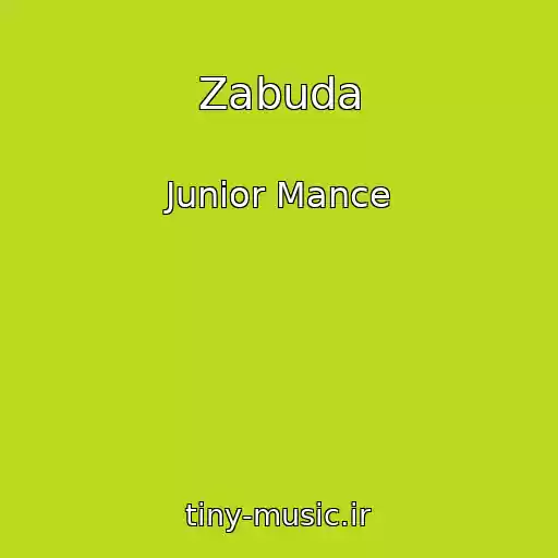 کاور آهنگ Zabuda از Junior Mance