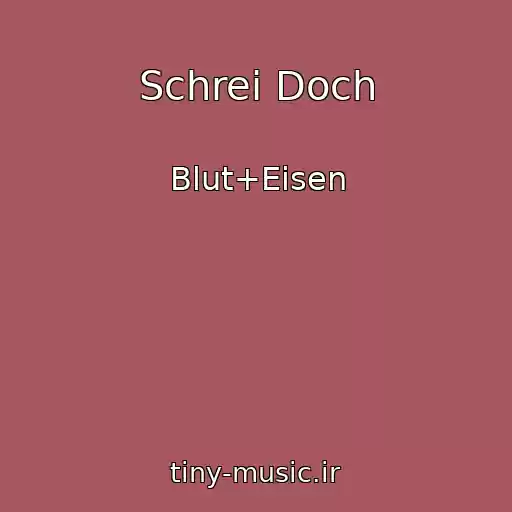 کاور آهنگ Schrei Doch از Blut+Eisen