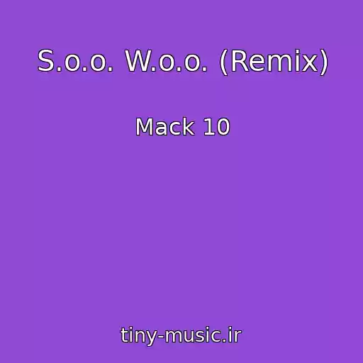 کاور آهنگ S.o.o. W.o.o. (Remix) از Mack 10