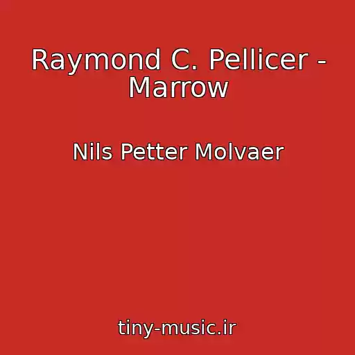 کاور آهنگ Raymond C. Pellicer - Marrow از Nils Petter Molvaer