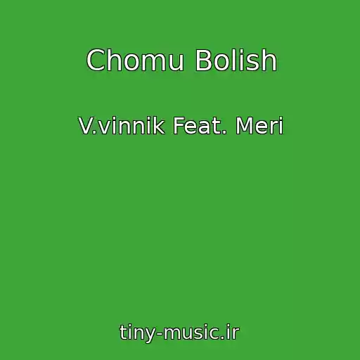 کاور آهنگ Chomu Bolish از V.vinnik Feat. Merі