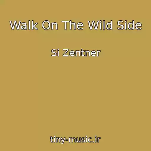 کاور آهنگ Walk On The Wild Side از Si Zentner