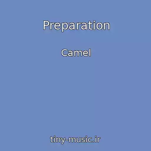 کاور آهنگ Preparation از Camel