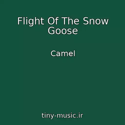 کاور آهنگ Flight Of The Snow Goose از Camel