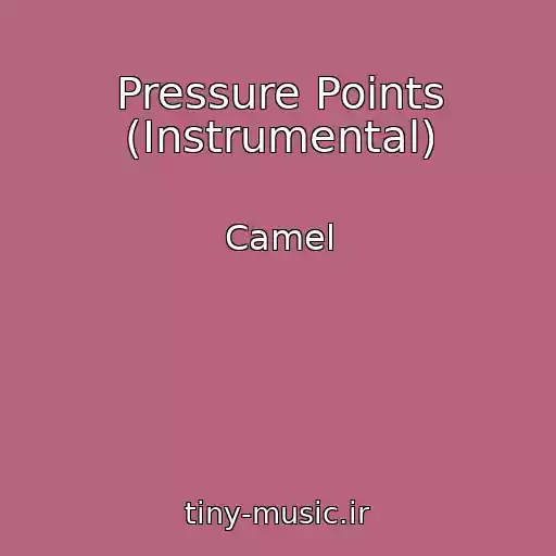 کاور آهنگ Pressure Points (Instrumental) از Camel