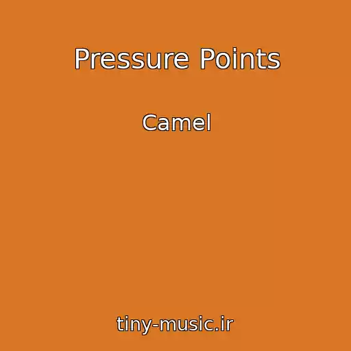 کاور آهنگ Pressure Points از Camel