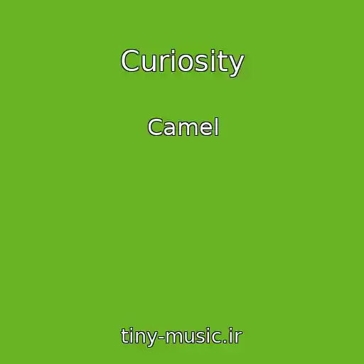 کاور آهنگ Curiosity از Camel