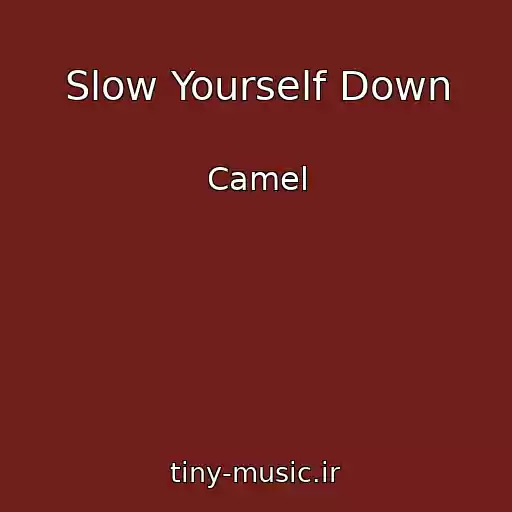کاور آهنگ Slow Yourself Down از Camel