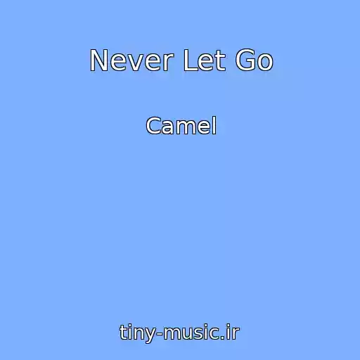 کاور آهنگ Never Let Go از Camel
