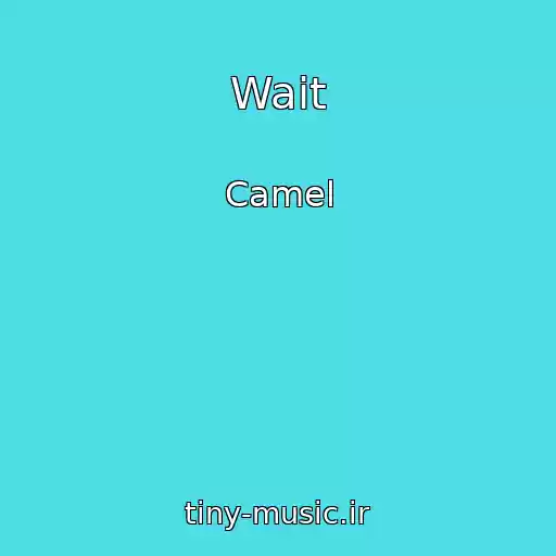 کاور آهنگ Wait از Camel