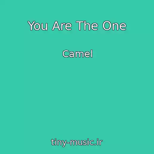 کاور آهنگ You Are The One از Camel