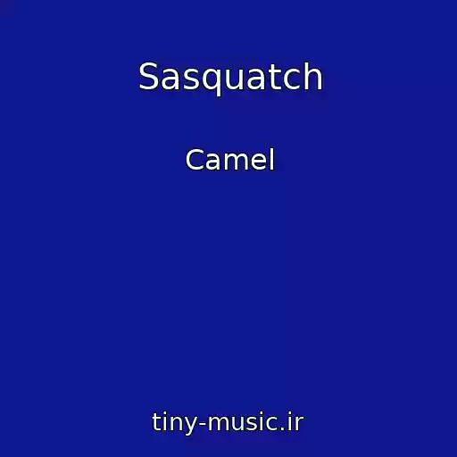 کاور آهنگ Sasquatch از Camel