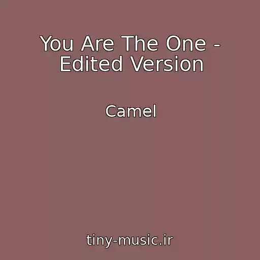 کاور آهنگ You Are The One - Edited Version از Camel