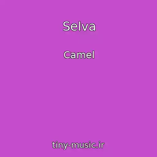 کاور آهنگ Selva از Camel