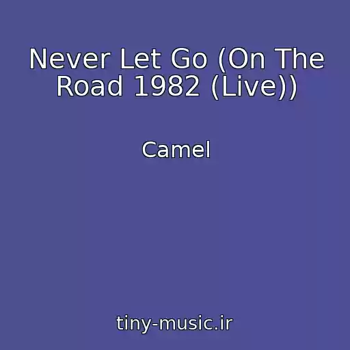 کاور آهنگ Never Let Go (On The Road 1982 (Live)) از Camel