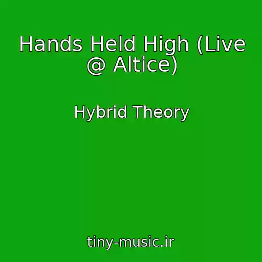 کاور آهنگ Hands Held High (Live @ Altice) از Hybrid Theory